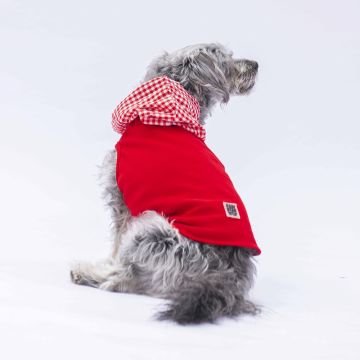 PawStar Kırmızı Gingham Kapşonlu Polo T-Shirt