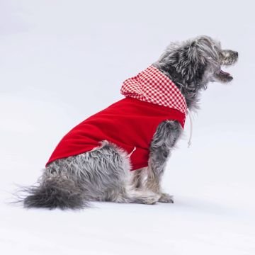 PawStar Kırmızı Gingham Kapşonlu Polo T-Shirt