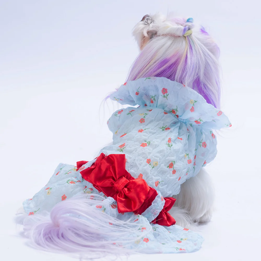 PawStar  Mavi Valencia Elbise