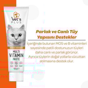 Vet's Plus Sağlıklı Kediler için Taurinli Multi-Vitamin Kedi Macunu 100gr