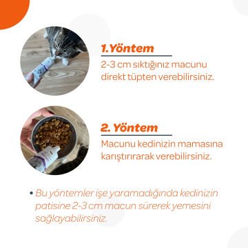 Vet's Plus Sağlıklı Kediler için Taurinli Multi-Vitamin Kedi Macunu 100gr