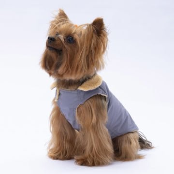 PawStar Gri Yukon Kolsuz Yelek Küçük ve Orta Irk