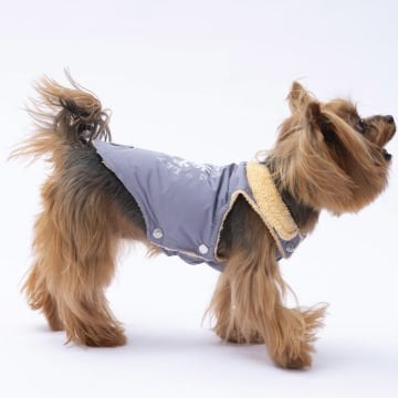 PawStar Gri Yukon Kolsuz Yelek Küçük ve Orta Irk