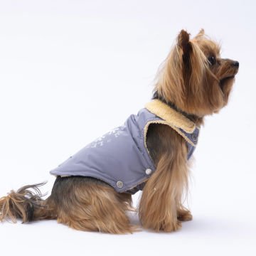 PawStar Gri Yukon Kolsuz Yelek Küçük ve Orta Irk