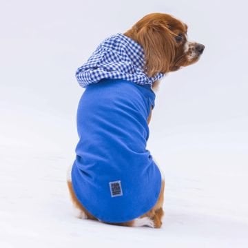 PawStar Mavi Gingham Kapşonlu Polo T-Shirt