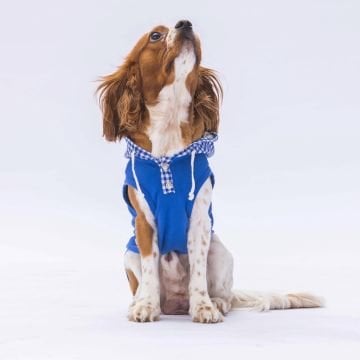 PawStar Mavi Gingham Kapşonlu Polo T-Shirt