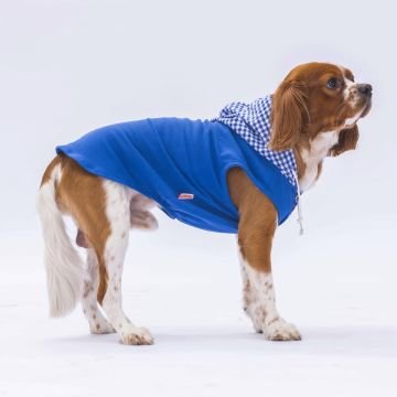 PawStar Mavi Gingham Kapşonlu Polo T-Shirt