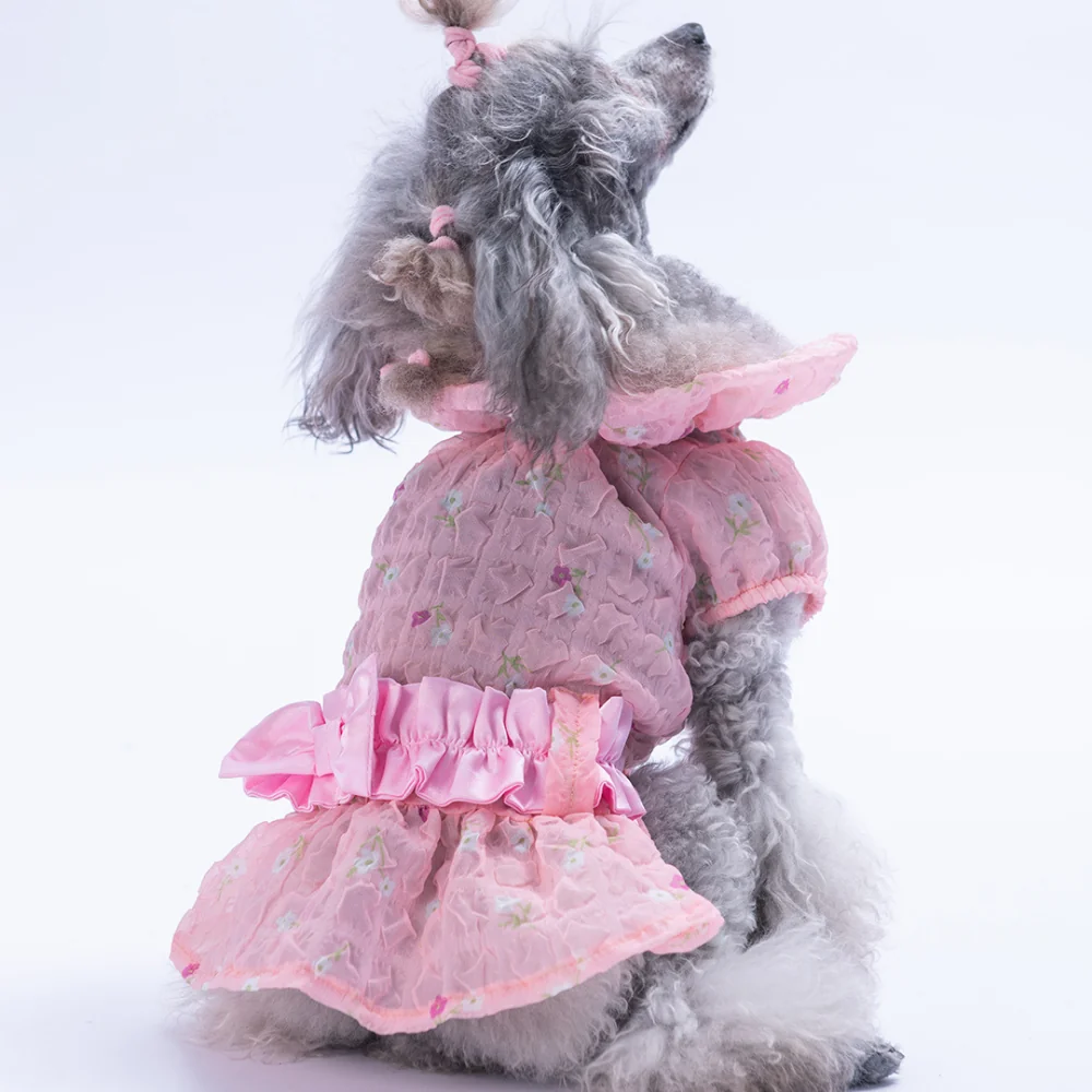 PawStar  Pembe Valencia Elbise