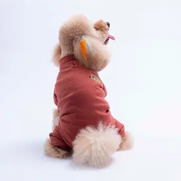 PawStar 26904 Bordo Berry Hedge Tulum