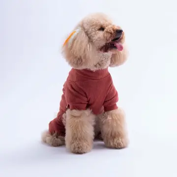 PawStar 26904 Bordo Berry Hedge Tulum