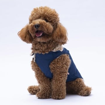 PawStar Lacivert Yukon Kolsuz Yelek Küçük ve Orta Irk