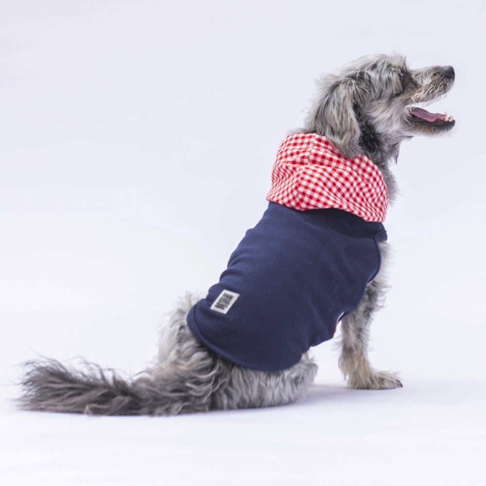 PawStar Lacivert Gingham Kapşonlu Polo T-Shirt
