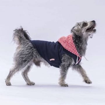 PawStar Lacivert Gingham Kapşonlu Polo T-Shirt