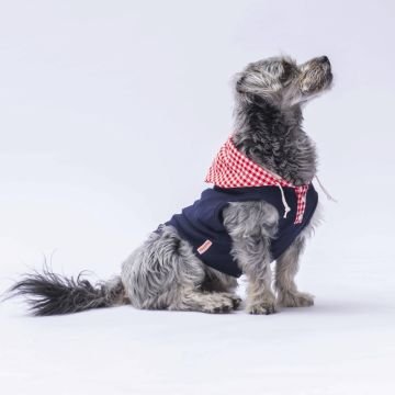 PawStar Lacivert Gingham Kapşonlu Polo T-Shirt