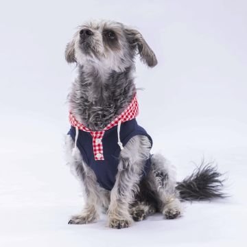 PawStar Lacivert Gingham Kapşonlu Polo T-Shirt