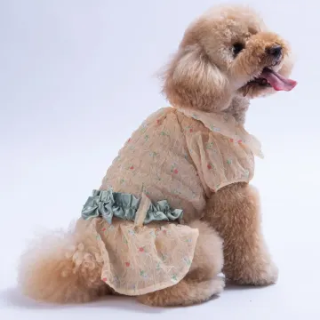 PawStar  Sarı Valencia Elbise