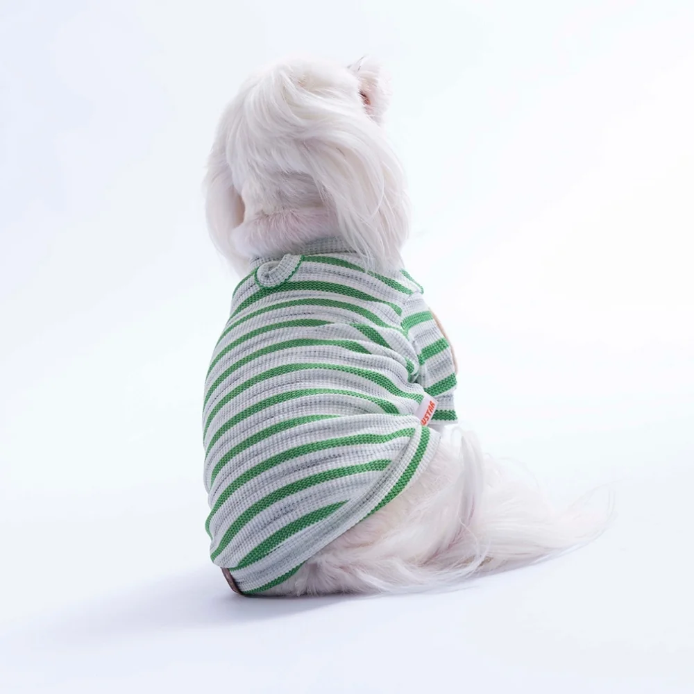 PawStar 26731 Yeşil Marseille Softline Sweat