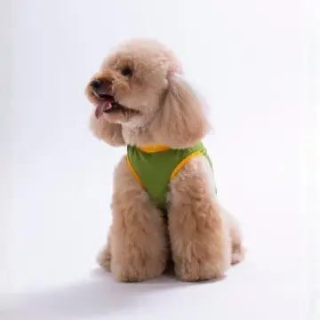 PawStar 26806 Yeşil Small Things Tişört