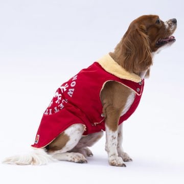 PawStar Kırmızı Yukon Kolsuz Yelek Küçük ve Orta Irk