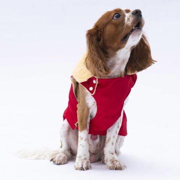PawStar Kırmızı Yukon Kolsuz Yelek Küçük ve Orta Irk