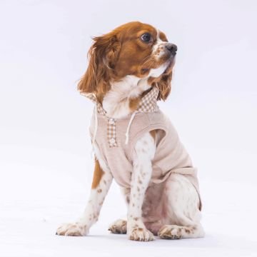 PawStar Bej Gingham Kapşonlu Polo T-Shirt