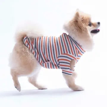 PawStar 26730 Kiremit Marseille Softline Sweat