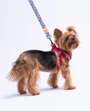 PawStar L36 Mushroom Mantar Desenli Sevk Kayışı