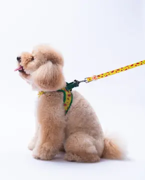 PawStar L32 Watermelon Karpuz Desenli Sevk Kayışı