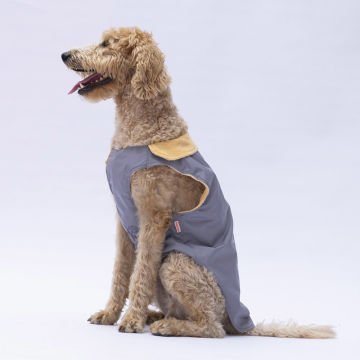 PawStar Gri Yukon Büyük Irk Kolsuz Yelek