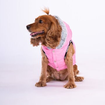 PawStar Pembe Lİght Wave Küçük ve Orta Irk Yelek