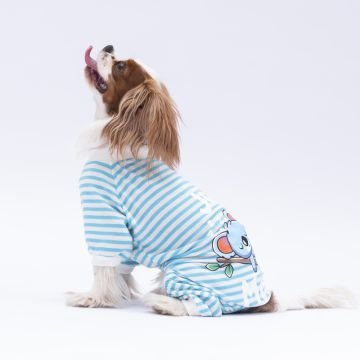 PawStar Mavi Just More Pijama Tulum