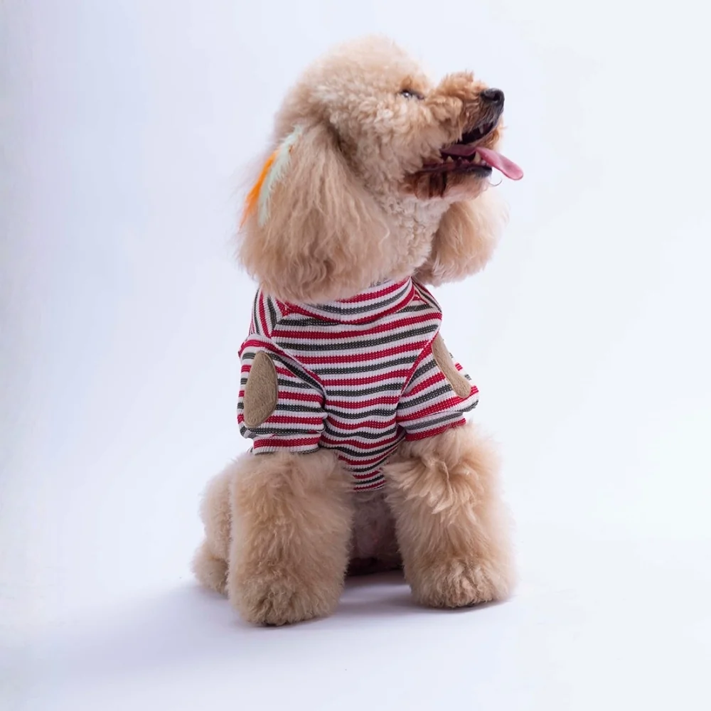 PawStar 26729 Kırmızı Marseille Softline Sweat