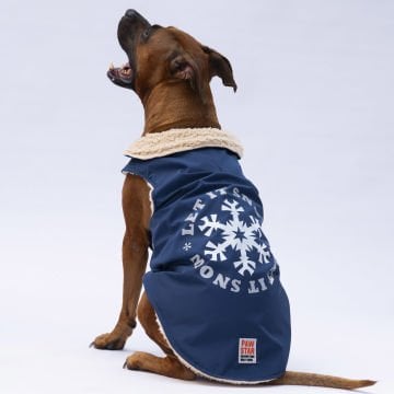 PawStar Lacivert  Yukon Büyük Irk Kolsuz Yelek