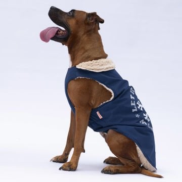 PawStar Lacivert  Yukon Büyük Irk Kolsuz Yelek