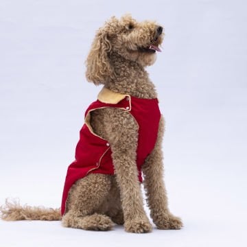 PawStar Kırmızı Yukon Büyük Irk Kolsuz Yelek