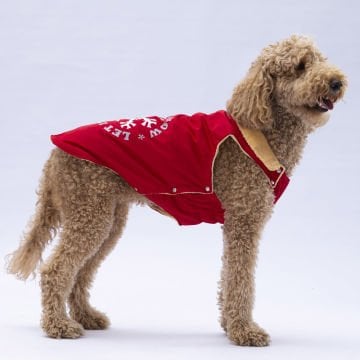 PawStar Kırmızı Yukon Büyük Irk Kolsuz Yelek