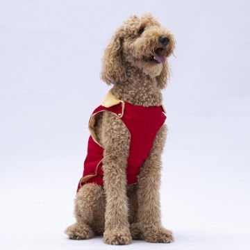 PawStar Kırmızı Yukon Büyük Irk Kolsuz Yelek