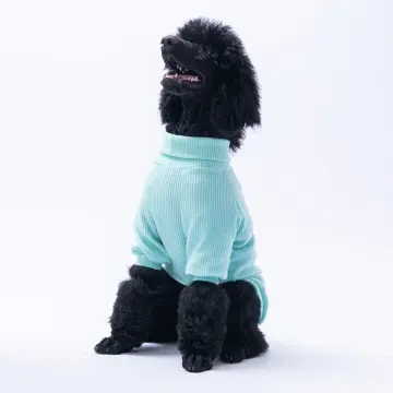 PawStar Mint Pooh's Ashdown Tigger Büyük Irk Triko Sweat