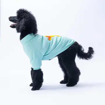 PawStar Mint Pooh's Ashdown Tigger Büyük Irk Triko Sweat