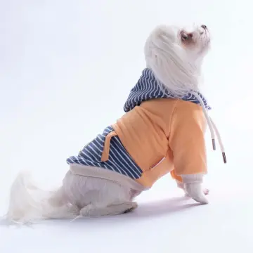 PawStar 26725 Somon Sera Stripe Hoodie