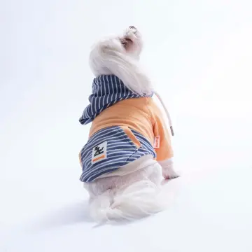 PawStar 26725 Somon Sera Stripe Hoodie