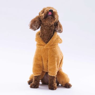 PawStar Kahverengi Tapeti Tulum Küçük ve Orta Irk