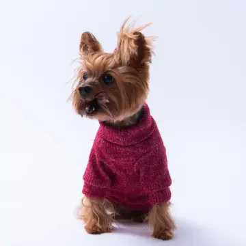 PawStar Bordo Pooh's Ashdown Winnie Triko Sweat