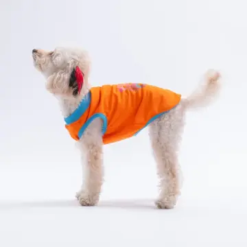 PawStar 26801 Turuncu All Good Days Tişört