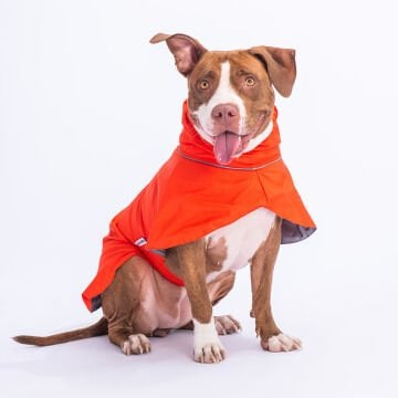 PawStar Turuncu Colombia Yağmurluk