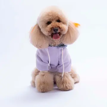 PawStar 26723 Lila Sera Stripe Hoodie