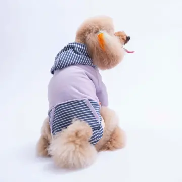 PawStar 26723 Lila Sera Stripe Hoodie