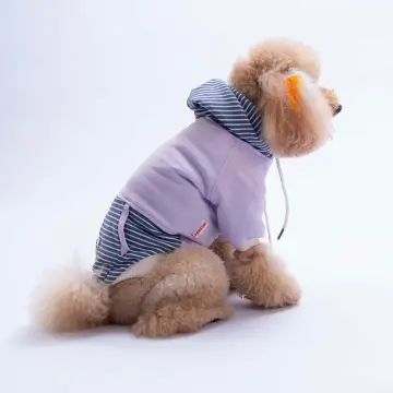 PawStar 26723 Lila Sera Stripe Hoodie