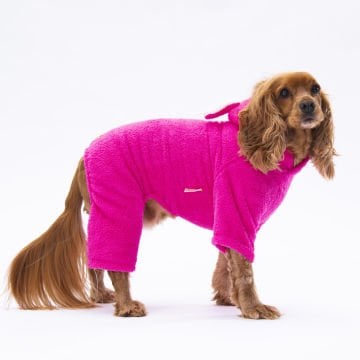 PawStar Pembe Tapeti Tulum Küçük ve Orta Irk