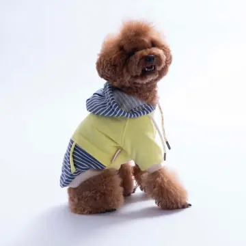 PawStar 226722 Yeşil Sera Stripe Hoodie